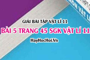 Giải bài 5 trang 45 SGK Vật lí 11: Dòng điện không đổi, Suất điện động của nguồn điện